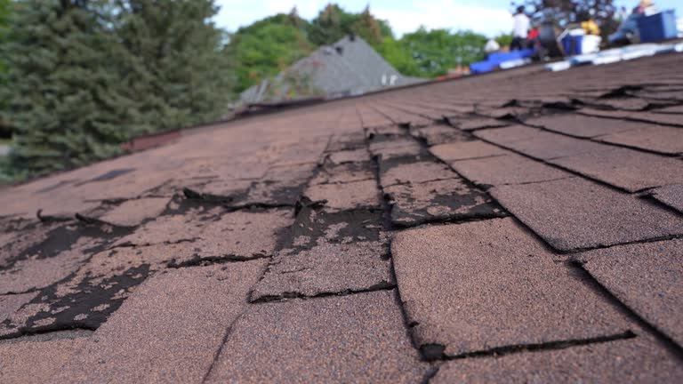 Best Roof Moss and Algae Removal  in Sharon Center, OH